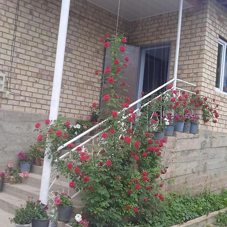 Guest House Kyzyl Alma Arkit Ngoại thất bức ảnh