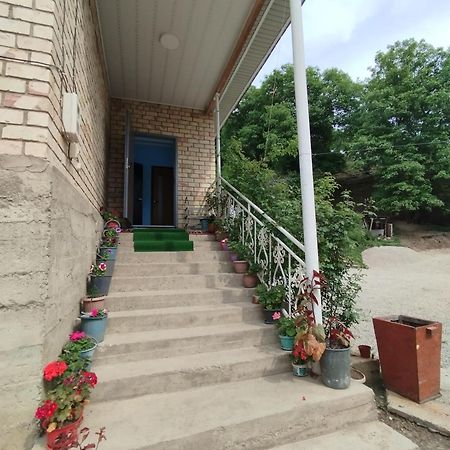 Guest House Kyzyl Alma Arkit Ngoại thất bức ảnh